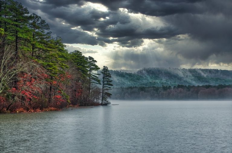 Arkansas Cove Creek: Where the Ozarks Meet Serenity