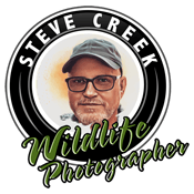 Steve Creek Logo