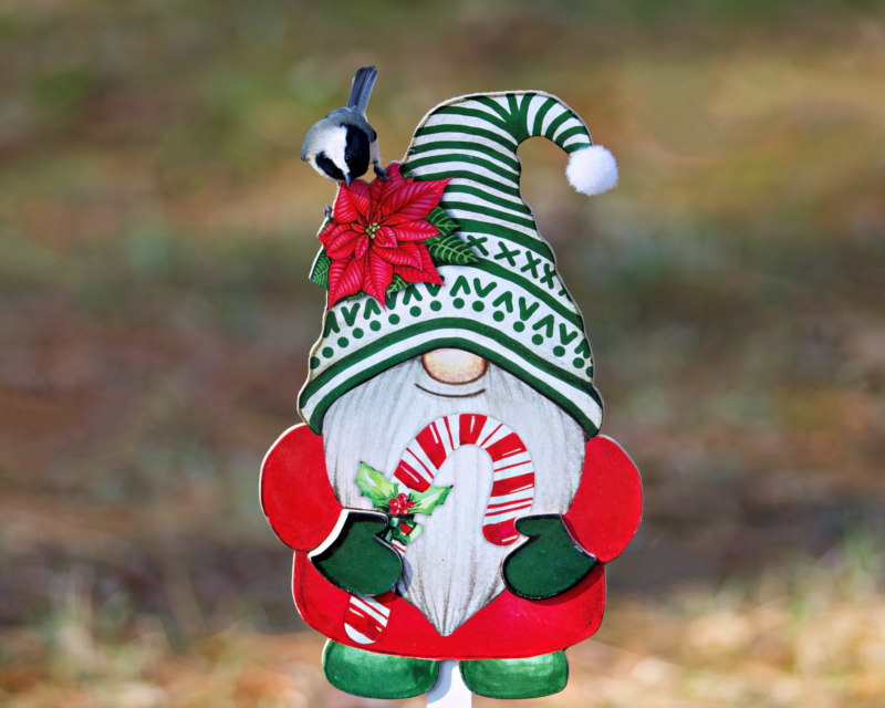 Chickadee on the Gnome’s Hat