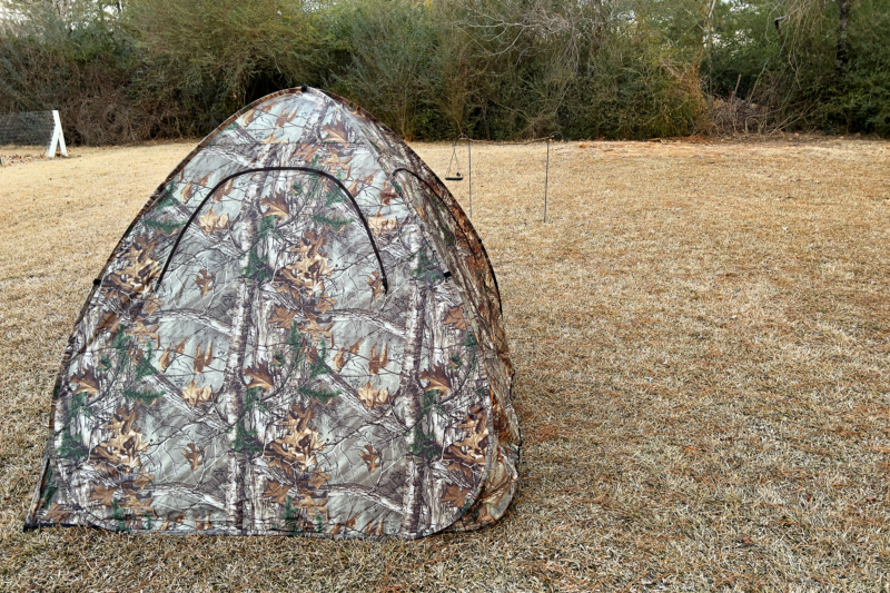 Ground Blind Set for Backyard Bird Photography