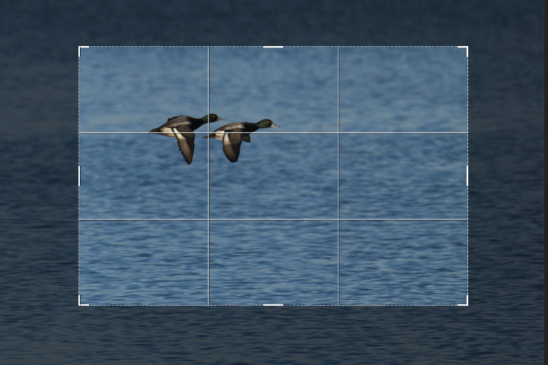 Perfect Balance: The Rule of Thirds in Action