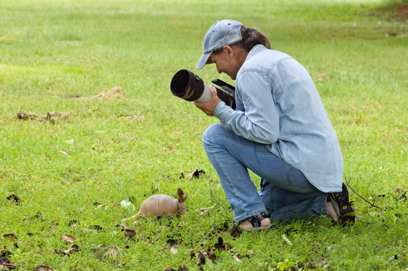 Mia Meets a Baby Nine-banded Armadillo A woman crouching in the grass with a camera as a baby Nine-banded Armadillo approaches her, showing the small size of the pup.