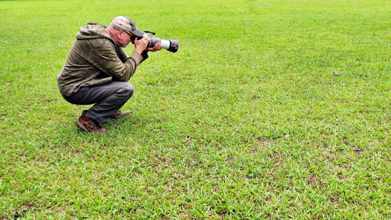 Photographing a Mourning Dove Fledgling in the Grass Photographer crouching in green grass with camera aimed at a Mourning Dove fledgling, photo taken by Mia of On The Wing Photography.