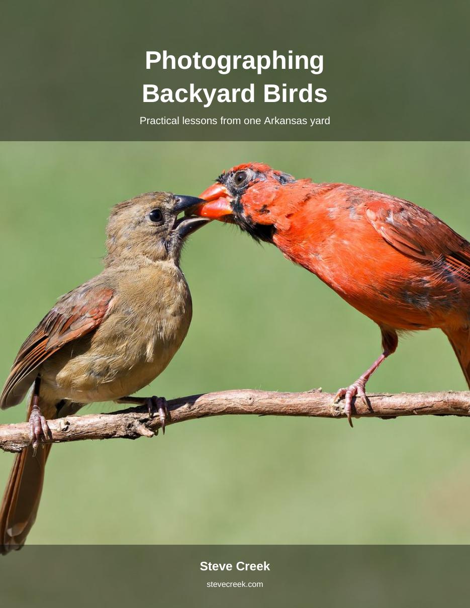 Photographing Backyard Birds book cover