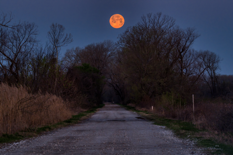 Full Moon at Sequoyah National Wildlife Refuge