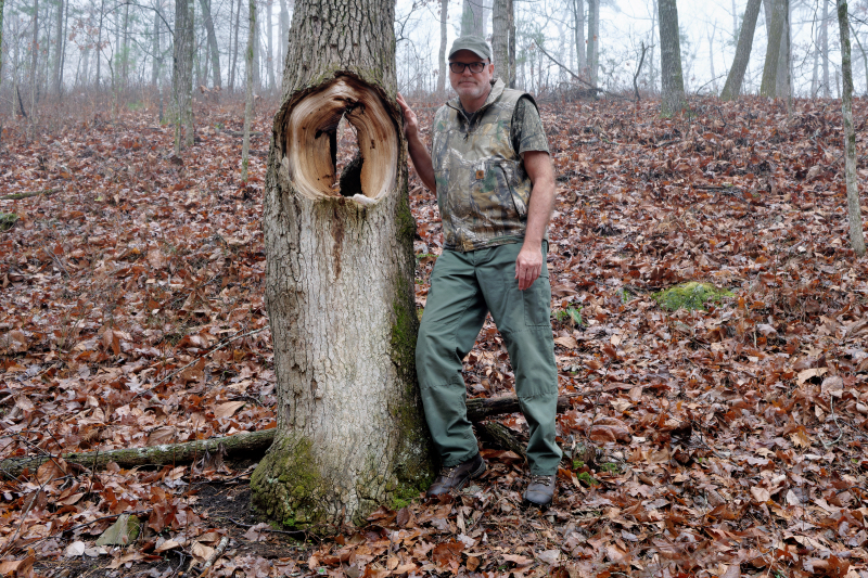 Steve Creek Standing Next To A Tree With A Hole Through It